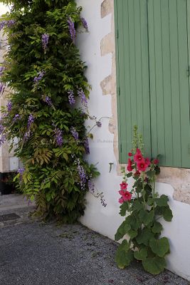 459 Vacances en Charente Maritime - Photos Canon IMG_7873_DxO Pbase.jpg