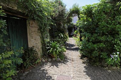 469 Vacances en Charente Maritime - Photos Canon IMG_7883_DxO Pbase.jpg