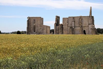 482 Vacances en Charente Maritime - Photos Canon IMG_7896_DxO Pbase.jpg