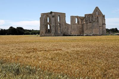 484 Vacances en Charente Maritime - Photos Canon IMG_7898_DxO Pbase.jpg
