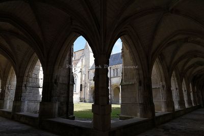 2075 Vacances en Charente Maritime - IMG_9980_DxO Pbase.jpg