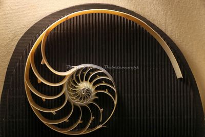 2347 Vacances en Charente Maritime - IMG_0084_DxO Pbase.jpg