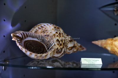 2350 Vacances en Charente Maritime - IMG_0087_DxO Pbase.jpg