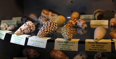 2365 Vacances en Charente Maritime - IMG_0099_DxO Pbase.jpg