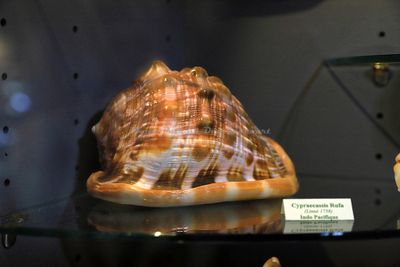 2373 Vacances en Charente Maritime - IMG_0107_DxO Pbase.jpg