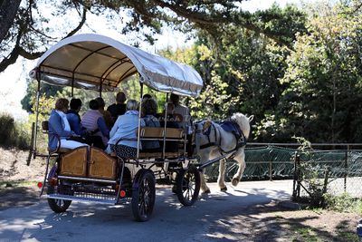 2410 Vacances en Charente Maritime - IMG_0135_DxO Pbase.jpg