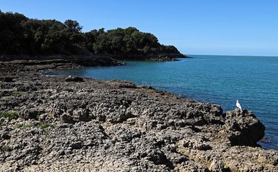 2462 Vacances en Charente Maritime - IMG_0169_DxO Pbase.jpg