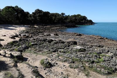 2464 Vacances en Charente Maritime - IMG_0171_DxO Pbase.jpg