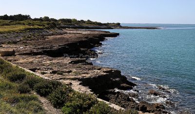 2472 Vacances en Charente Maritime - IMG_0178_DxO Pbase.jpg