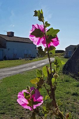 2507 Vacances en Charente Maritime - 200F93~2_DxO Pbase.jpg