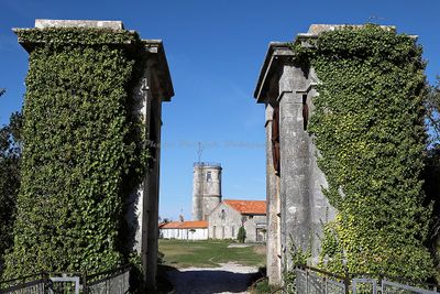 2526 Vacances en Charente Maritime - IMG_0226_DxO Pbase.jpg