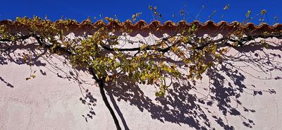 2531 Vacances en Charente Maritime - 203114~1_DxO Pbase.jpg
