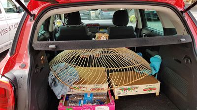 2632 Vacances en Charente Maritime - 207296~1_DxO Pbase.jpg
