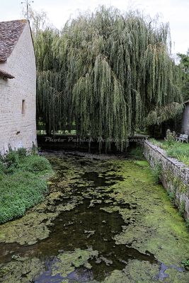 2879 Vacances en Charente Maritime - IMG_0499_DxO Pbase.jpg