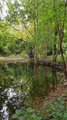 2995 Vacances en Charente Maritime - 20F912~1_DxO Pbase.jpg