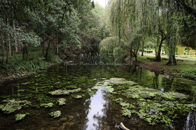 3002 Vacances en Charente Maritime - IMG_0604_DxO Pbase.jpg