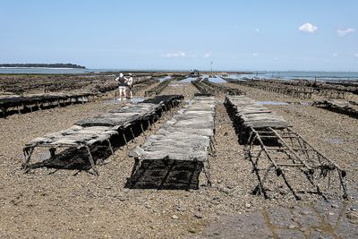 741 Vacances en Charente Maritime - Photos Canon IMG_8160_DxO Pbase.jpg