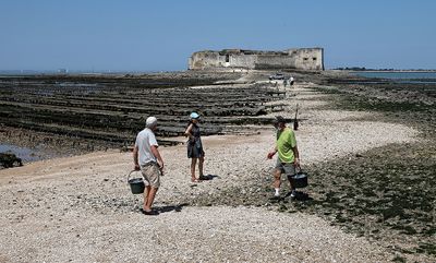 746 Vacances en Charente Maritime - Photos Canon IMG_8165_DxO Pbase.jpg