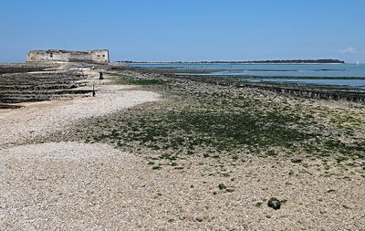 747 Vacances en Charente Maritime - Photos Canon IMG_8166_DxO Pbase.jpg