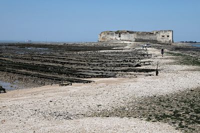 749 Vacances en Charente Maritime - Photos Canon IMG_8168_DxO Pbase.jpg