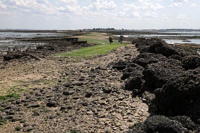 751 Vacances en Charente Maritime - Photos Canon IMG_8170_DxO Pbase.jpg