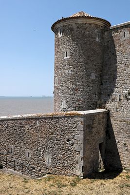 765 Vacances en Charente Maritime - Photos Canon IMG_8184_DxO Pbase.jpg