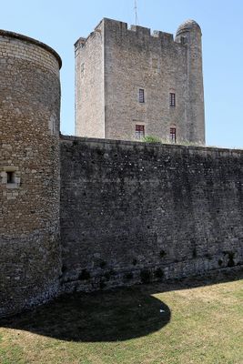 771 Vacances en Charente Maritime - Photos Canon IMG_8190_DxO Pbase.jpg