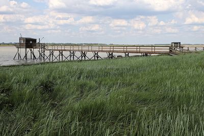 780 Vacances en Charente Maritime - Photos Canon IMG_8199_DxO Pbase.jpg