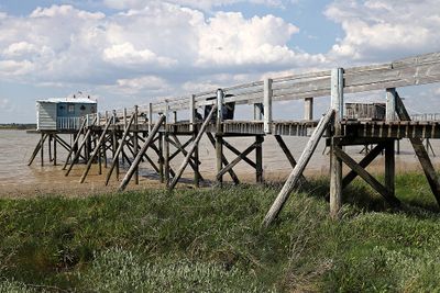 791 Vacances en Charente Maritime - Photos Canon IMG_8210_DxO Pbase.jpg
