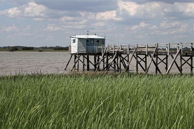 814 Vacances en Charente Maritime - Photos Canon IMG_8234_DxO Pbase.jpg