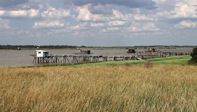 811 Vacances en Charente Maritime - Photos Canon IMG_8231_DxO Pbase.jpg