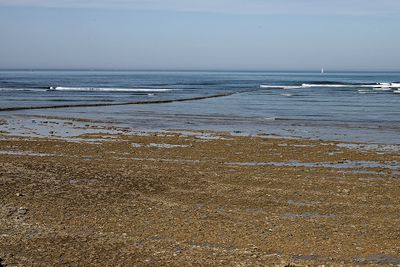 1033 Vacances en Charente Maritime - Photos Canon IMG_8464_DxO Pbase.jpg