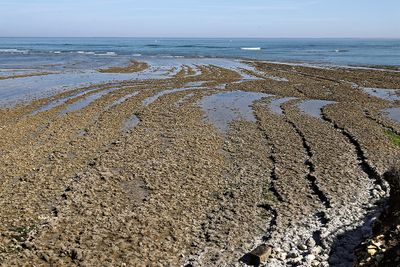 1036 Vacances en Charente Maritime - Photos Canon IMG_8467_DxO Pbase.jpg