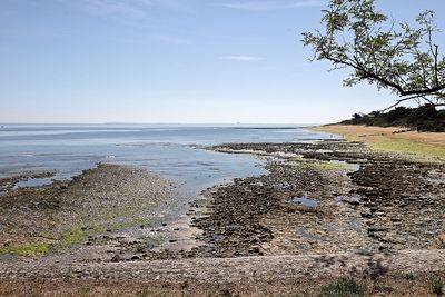 1077 Vacances en Charente Maritime - Photos Canon IMG_8508_DxO Pbase.jpg