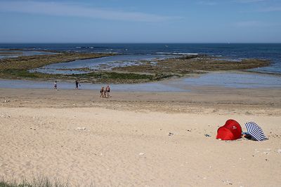 1082 Vacances en Charente Maritime - Photos Canon IMG_8513_DxO Pbase.jpg