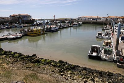 1110 Vacances en Charente Maritime - Photos Canon IMG_8545_DxO Pbase.jpg