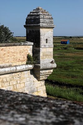 1138 Vacances en Charente Maritime - Photos Canon IMG_8581_DxO Pbase.jpg