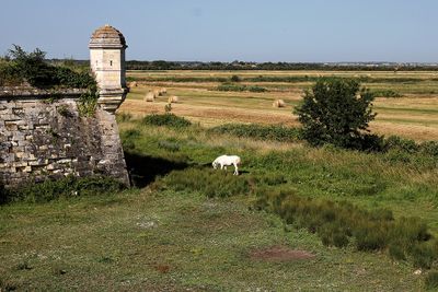 1154 Vacances en Charente Maritime - Photos Canon IMG_8599_DxO Pbase.jpg