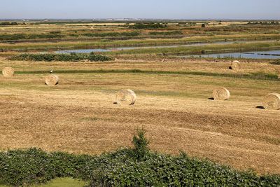 1156 Vacances en Charente Maritime - Photos Canon IMG_8601_DxO Pbase.jpg