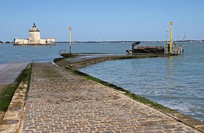 1230 Vacances en Charente Maritime - Photos Canon IMG_8687_DxO Pbase.jpg