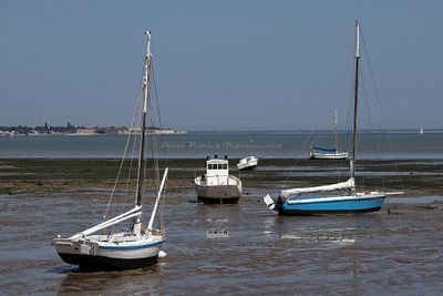 1263 Vacances en Charente Maritime - Photos Canon IMG_8722_DxO Pbase.jpg