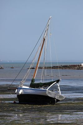 1269 Vacances en Charente Maritime - Photos Canon IMG_8728_DxO Pbase.jpg