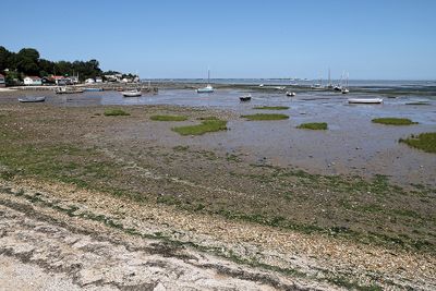 1279 Vacances en Charente Maritime - Photos Canon IMG_8739_DxO Pbase.jpg