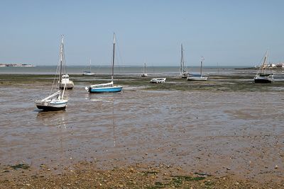 1283 Vacances en Charente Maritime - Photos Canon IMG_8743_DxO Pbase.jpg