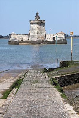 1291 Vacances en Charente Maritime - Photos Canon IMG_8752_DxO Pbase.jpg