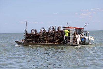 1304 Vacances en Charente Maritime - Photos Canon IMG_8765_DxO Pbase.jpg
