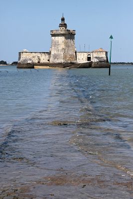 1305 Vacances en Charente Maritime - Photos Canon IMG_8766_DxO Pbase.jpg