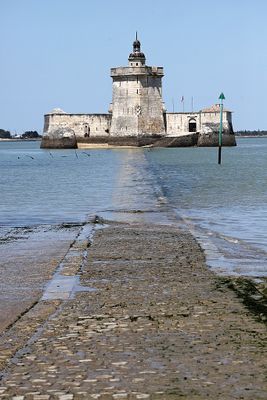 1308 Vacances en Charente Maritime - Photos Canon IMG_8769_DxO Pbase.jpg