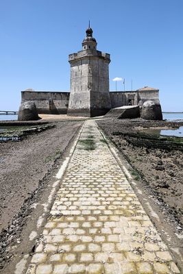 1338 Vacances en Charente Maritime - Photos Canon IMG_8800_DxO Pbase.jpg