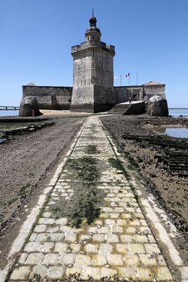 1340 Vacances en Charente Maritime - Photos Canon IMG_8803_DxO Pbase.jpg